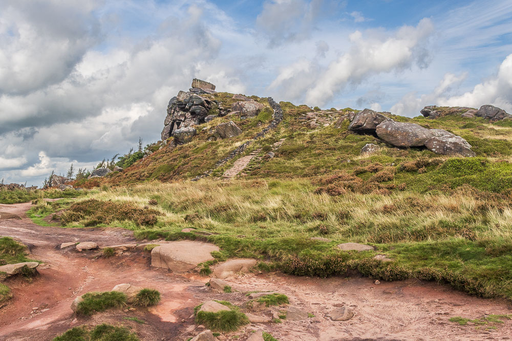 The Roaches The Roaches